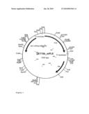 MICROORGANISM FOR PRODUCING RECOMBINANT PIG LIVER ESTERASE diagram and image