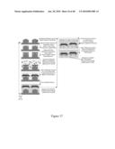 MECHANICAL PROCESS FOR CREATING PARTICLES IN FLUID diagram and image