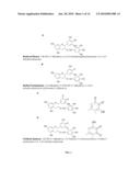 COMPOSITIONS AND METHODS OF CONTROLLING AND ADMINISTERING REDOX SPECIFIC FORMS OF DRUGS, FOODS AND DIETARY SUPPLEMENTS diagram and image