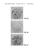 DEFINED CELL CULTURING SURFACES AND METHODS OF USE diagram and image