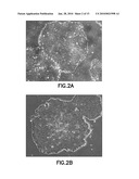 DEFINED CELL CULTURING SURFACES AND METHODS OF USE diagram and image