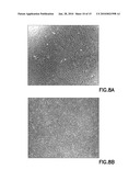 DEFINED CELL CULTURING SURFACES AND METHODS OF USE diagram and image