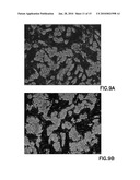 DEFINED CELL CULTURING SURFACES AND METHODS OF USE diagram and image