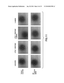 DEFINED CELL CULTURING SURFACES AND METHODS OF USE diagram and image