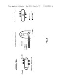 Mid-IR Microchip Laser: ZnS:Cr2+ Laser with Saturable Absorber Material diagram and image