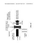 Mid-IR Microchip Laser: ZnS:Cr2+ Laser with Saturable Absorber Material diagram and image