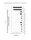 siRNA targeting Ras-related nuclear protein RAN diagram and image