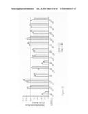 siRNA targeting Ras-related nuclear protein RAN diagram and image