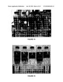 COMPOSITIONS AND METHODS FOR MITIGATING OR PREVENTING EMULSION FORMATION IN HYDROCARBON BODIES diagram and image