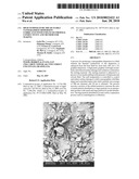 High temperature shear stable nanographite dispersion lubricants with enhanced thermal conductivity and method for making diagram and image