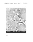 High temperature shear stable nanographite dispersion lubricants with enhanced thermal conductivity and method for making diagram and image