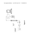 N-TERMINAL POLYSIALYLATION diagram and image