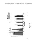 N-TERMINAL POLYSIALYLATION diagram and image