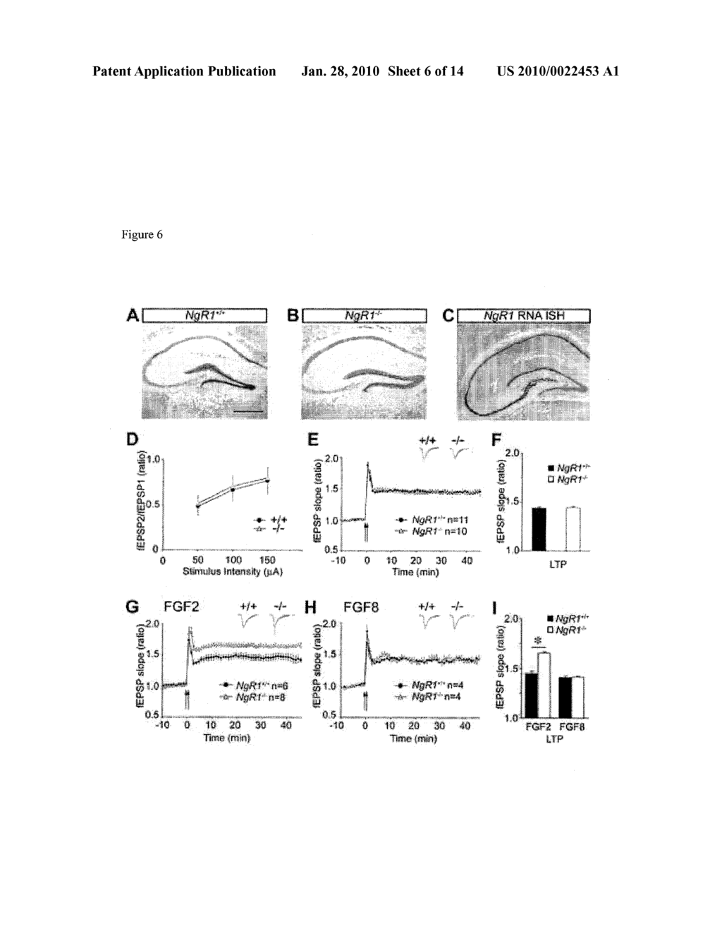 NoGo Receptor 1 and Fibroblast Growth Factor Interactions - diagram, schematic, and image 07