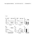 NoGo Receptor 1 and Fibroblast Growth Factor Interactions diagram and image