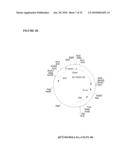 THERAPEUTIC AGENTS COMPRISING ELASTIN-LIKE PEPTIDES diagram and image