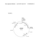 THERAPEUTIC AGENTS COMPRISING ELASTIN-LIKE PEPTIDES diagram and image