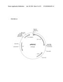 THERAPEUTIC AGENTS COMPRISING ELASTIN-LIKE PEPTIDES diagram and image