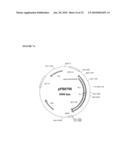 THERAPEUTIC AGENTS COMPRISING ELASTIN-LIKE PEPTIDES diagram and image