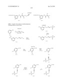 ANTI-CANCER PHOSPHONATE ANALOGS diagram and image