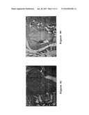 Drug Carriers, Their Synthesis, and Methods of Use Thereof diagram and image