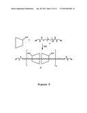 Drug Carriers, Their Synthesis, and Methods of Use Thereof diagram and image