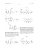 Substituted Tetracycline Compounds diagram and image