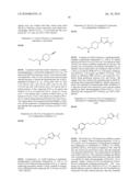 PIPERIDINE GPCR AGONISTS diagram and image