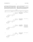 PIPERIDINE GPCR AGONISTS diagram and image