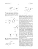 HETEROCYCLIC SULFONAMIDE INHIBITORS OF BETA AMYLOID PRODUCTION diagram and image