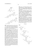 N-HYDROXYAMIDE DERIVATIVES POSSESSING ANTIBACTERIAL ACTIVITY diagram and image