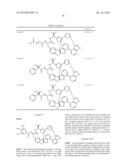 DIAZONAMIDE ANALOGS diagram and image