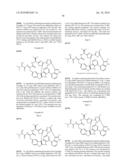 DIAZONAMIDE ANALOGS diagram and image