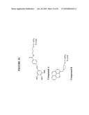 Long interfering nucleic acid duplexes targeting multiple RNA targets diagram and image