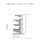 Long interfering nucleic acid duplexes targeting multiple RNA targets diagram and image