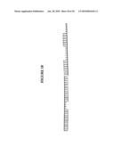 Long interfering nucleic acid duplexes targeting multiple RNA targets diagram and image