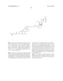 CONSTRUCTION AND USE OF TRANSFECTION ENHANCER ELEMENTS diagram and image