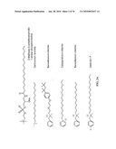 IDENTIFICATION OF ANTI-CANCER COMPOUNDS AND COMPOUNDS FOR TREATING HUNTINGTON S DISEASE AND METHODS OF TREATMENT THEREOF diagram and image