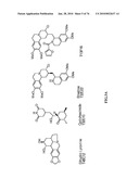 IDENTIFICATION OF ANTI-CANCER COMPOUNDS AND COMPOUNDS FOR TREATING HUNTINGTON S DISEASE AND METHODS OF TREATMENT THEREOF diagram and image