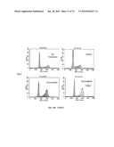 IDENTIFICATION OF ANTI-CANCER COMPOUNDS AND COMPOUNDS FOR TREATING HUNTINGTON S DISEASE AND METHODS OF TREATMENT THEREOF diagram and image