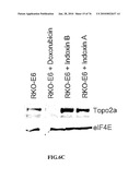 IDENTIFICATION OF ANTI-CANCER COMPOUNDS AND COMPOUNDS FOR TREATING HUNTINGTON S DISEASE AND METHODS OF TREATMENT THEREOF diagram and image