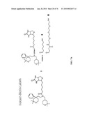 IDENTIFICATION OF ANTI-CANCER COMPOUNDS AND COMPOUNDS FOR TREATING HUNTINGTON S DISEASE AND METHODS OF TREATMENT THEREOF diagram and image