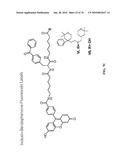 IDENTIFICATION OF ANTI-CANCER COMPOUNDS AND COMPOUNDS FOR TREATING HUNTINGTON S DISEASE AND METHODS OF TREATMENT THEREOF diagram and image