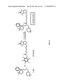 IDENTIFICATION OF ANTI-CANCER COMPOUNDS AND COMPOUNDS FOR TREATING HUNTINGTON S DISEASE AND METHODS OF TREATMENT THEREOF diagram and image