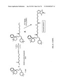 IDENTIFICATION OF ANTI-CANCER COMPOUNDS AND COMPOUNDS FOR TREATING HUNTINGTON S DISEASE AND METHODS OF TREATMENT THEREOF diagram and image