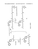 IDENTIFICATION OF ANTI-CANCER COMPOUNDS AND COMPOUNDS FOR TREATING HUNTINGTON S DISEASE AND METHODS OF TREATMENT THEREOF diagram and image