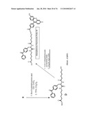 IDENTIFICATION OF ANTI-CANCER COMPOUNDS AND COMPOUNDS FOR TREATING HUNTINGTON S DISEASE AND METHODS OF TREATMENT THEREOF diagram and image