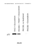 IDENTIFICATION OF ANTI-CANCER COMPOUNDS AND COMPOUNDS FOR TREATING HUNTINGTON S DISEASE AND METHODS OF TREATMENT THEREOF diagram and image