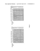 IDENTIFICATION OF ANTI-CANCER COMPOUNDS AND COMPOUNDS FOR TREATING HUNTINGTON S DISEASE AND METHODS OF TREATMENT THEREOF diagram and image