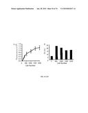 IDENTIFICATION OF ANTI-CANCER COMPOUNDS AND COMPOUNDS FOR TREATING HUNTINGTON S DISEASE AND METHODS OF TREATMENT THEREOF diagram and image